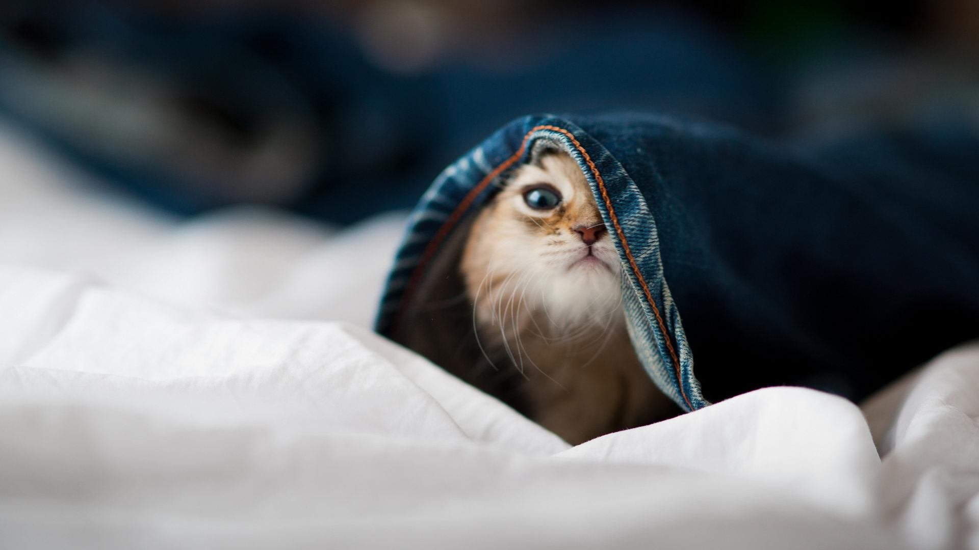 中国男篮分析数据助力训练 细节决定成败,盘点中国男篮