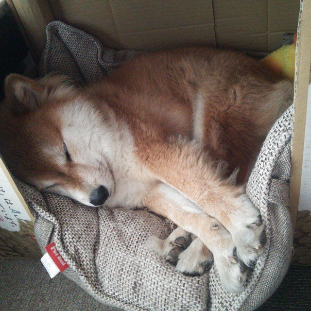 开云网页版登录入口-亚洲杯国家队晋级 球员默契配合提升，亚洲杯预选赛国家队名单