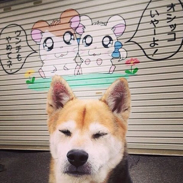 体育新闻中心主办智慧体育创新论坛,智慧体育赛事