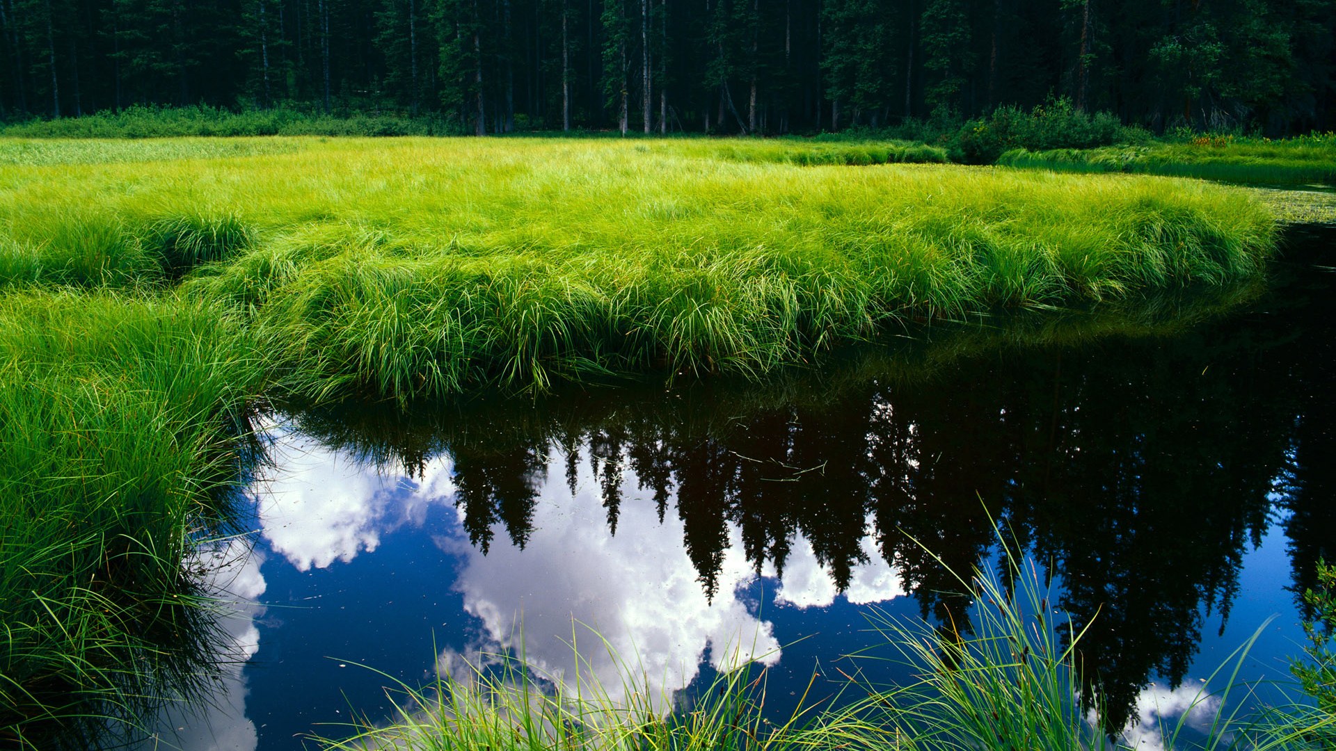 围棋中韩对决再掀高潮 柯洁VS申真谞引关注,柯洁对韩国棋手胜率