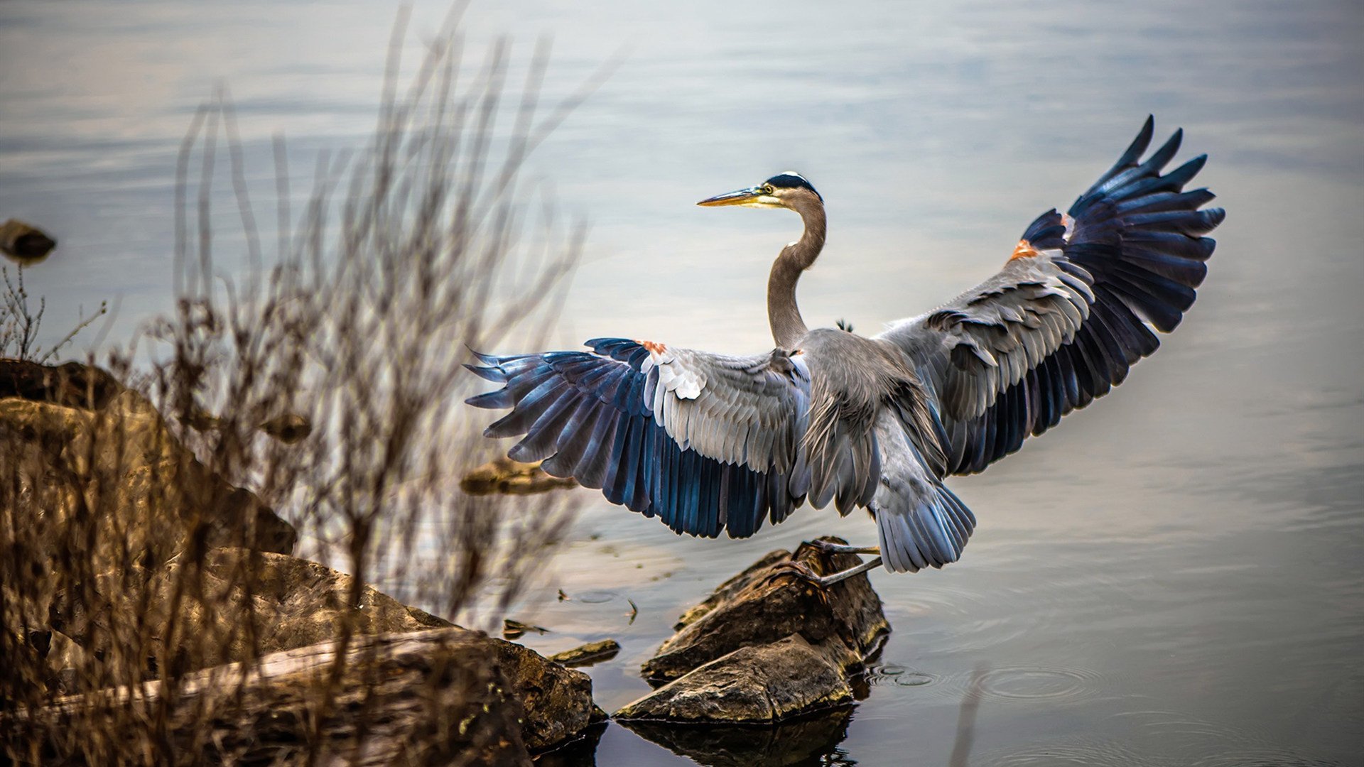 开云平台-德国队未来的机遇：国际乒联混合团体世界杯为其带来的突破口，德国乒乓球参赛名单