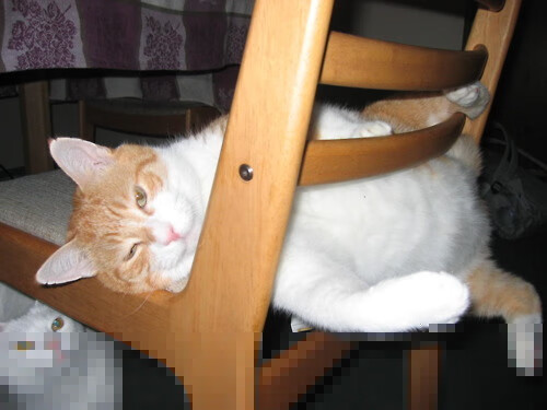 战术执行力成为区分强弱队的关键指标,战术执行能力