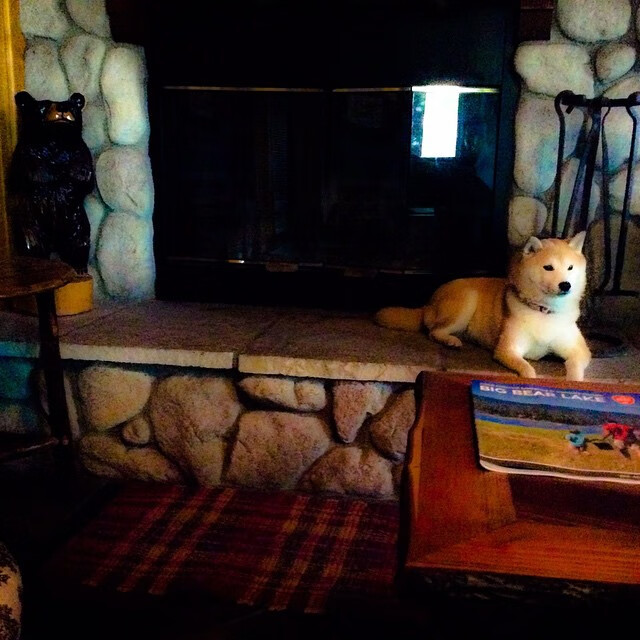 球队是否更依赖年轻球员完成节奏突变与渗透推进,球队现状