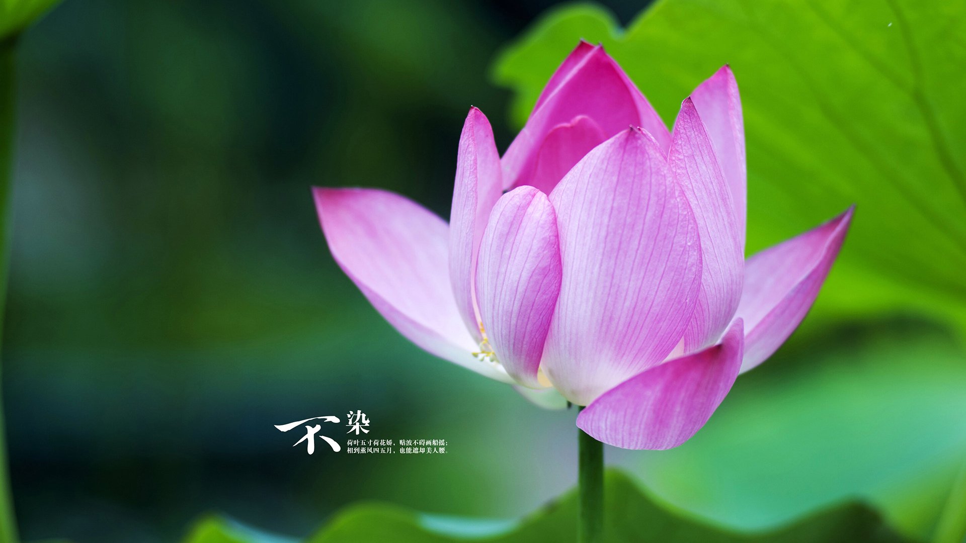 东京奥运闭幕中国奖牌榜第一,东京奥运会奖牌榜中国