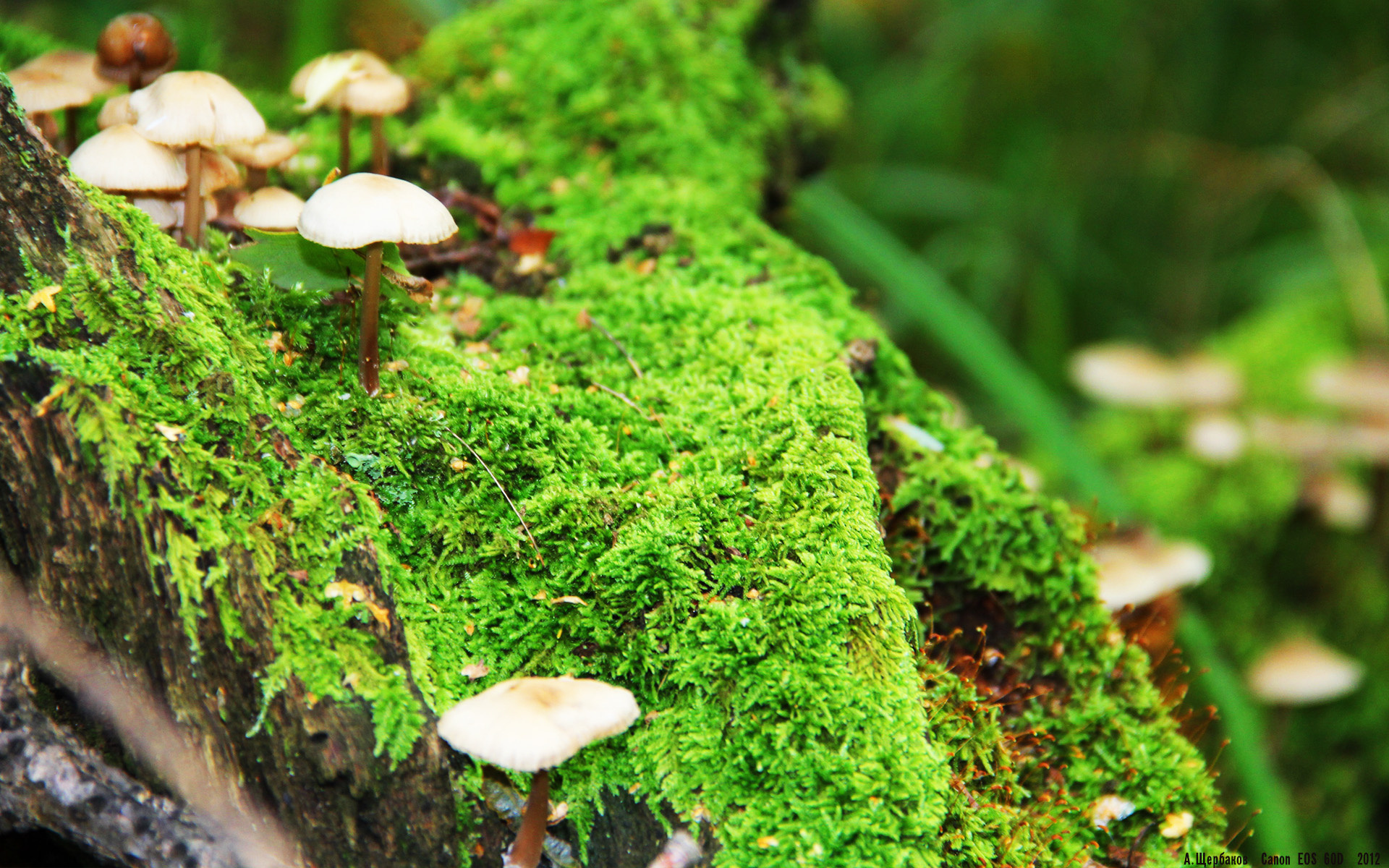 体育新闻中心上线媒体通道登记新系统,体育新闻网站推荐