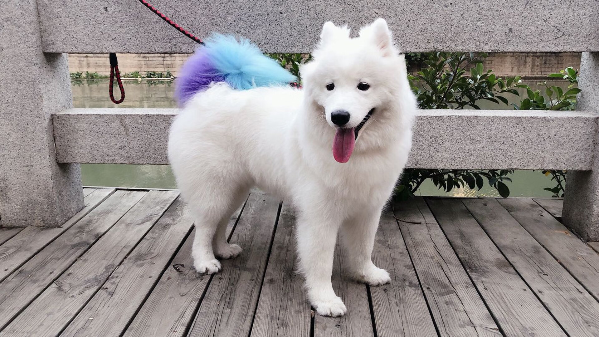 KAIYUNAPP-科特迪瓦男篮在非洲锦标赛中日益强大，追求辉煌未来，非洲 科特迪瓦