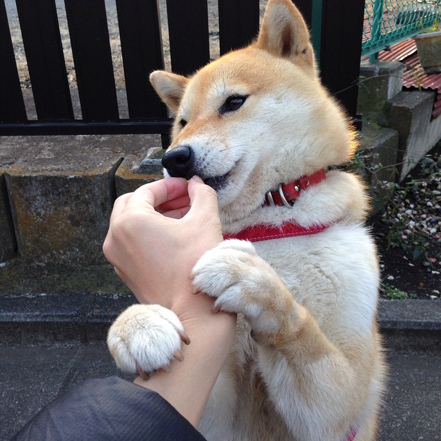 kaiyun网站-联合主办城市签署合作协议，共同推动赛事发展，联合承办和联合主办的区别