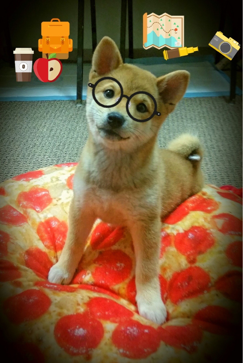 跳水稳定输出摩纳哥锁定奖牌希望,摩洛哥跳水