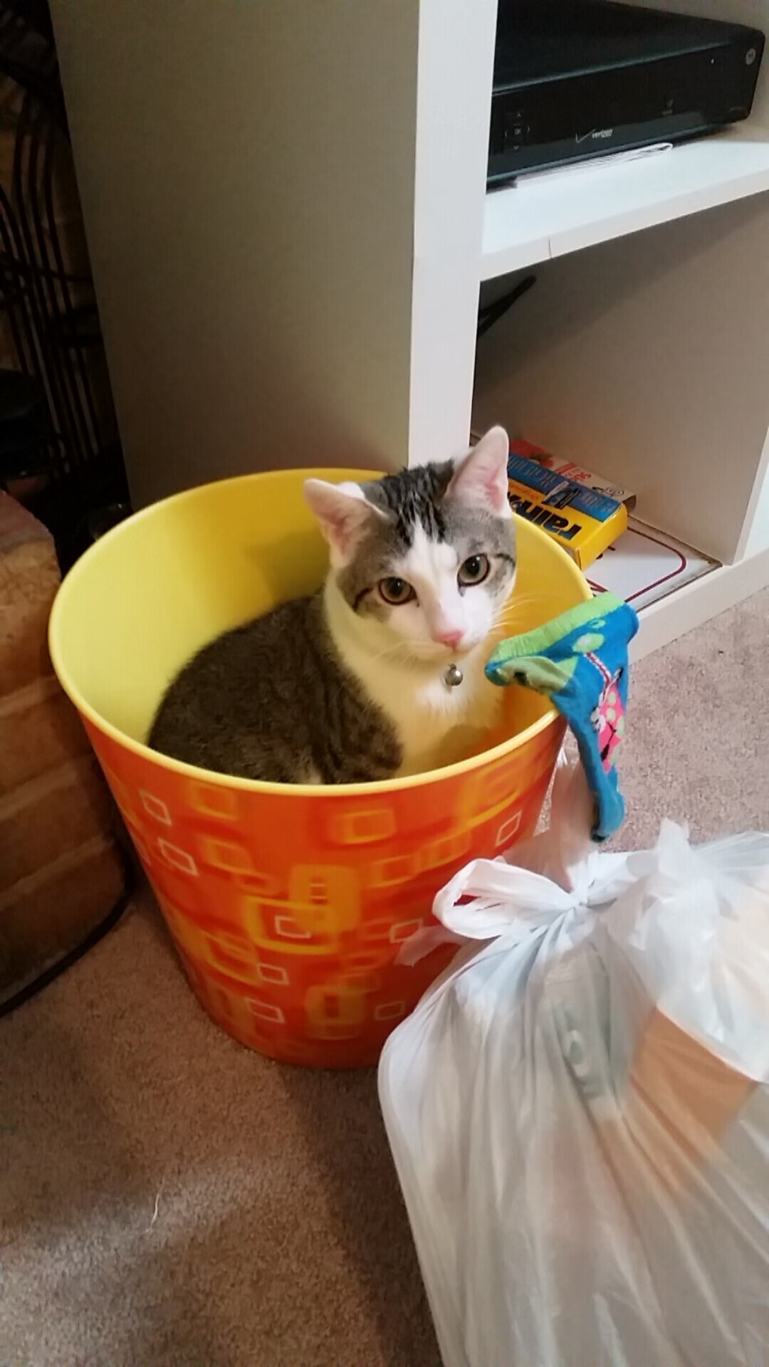 中超是否具备亚洲一流联赛潜质，中超是否具备亚洲一流联赛潜质资格